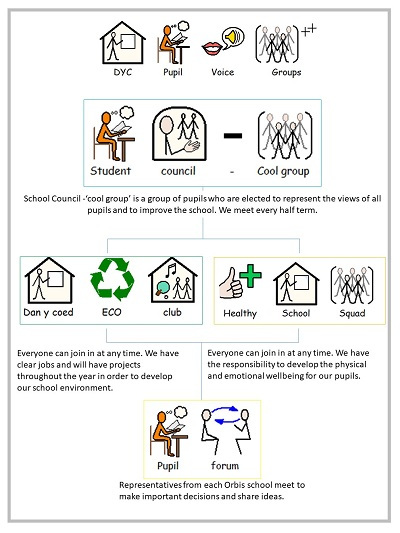 Orbis needs supported infographic